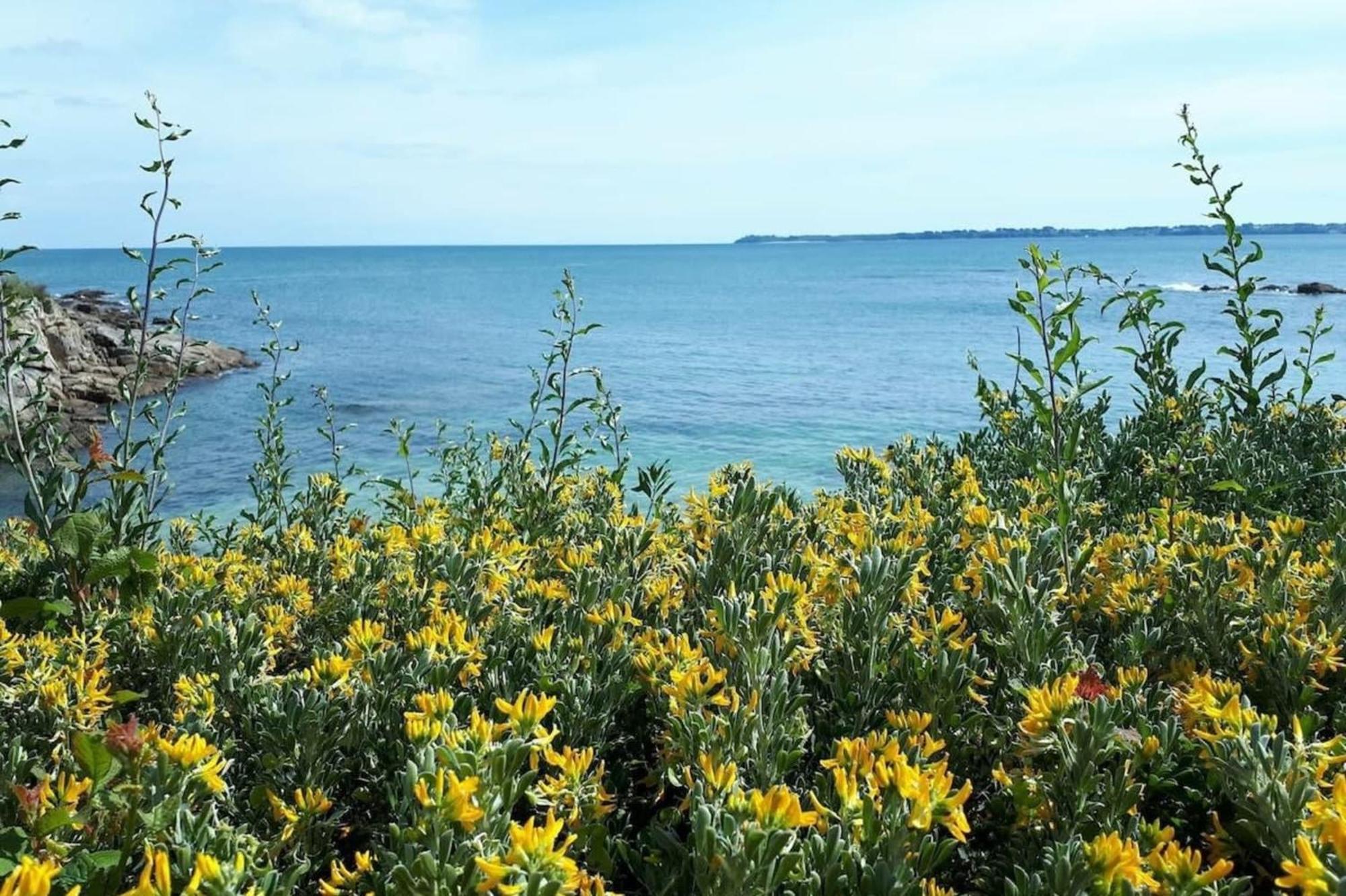 Apartment Lovely T2 De Standing Face A La Rade Larmor-Plage